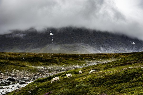 Louez un minibus 9 places : l'escapade en toute simplicité !