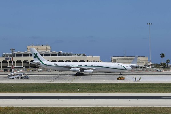 Où trouver les meilleurs spots pour observer les manchots royaux en Géorgie du Sud : périodes et conseils pratiques ?