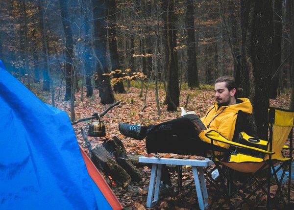 Est-il possible de participer à une croisière pour observer les phoques en Antarctique?